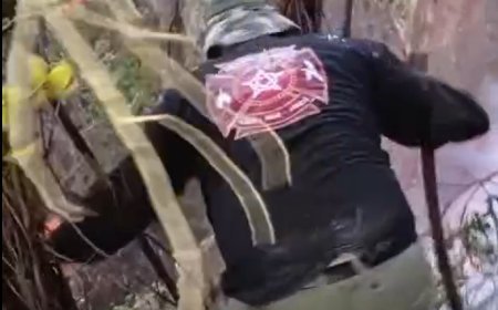 إخماد حريق أعشاب اندلع في منطقة الشويفات، العمروسية، طريق عبد الباقي