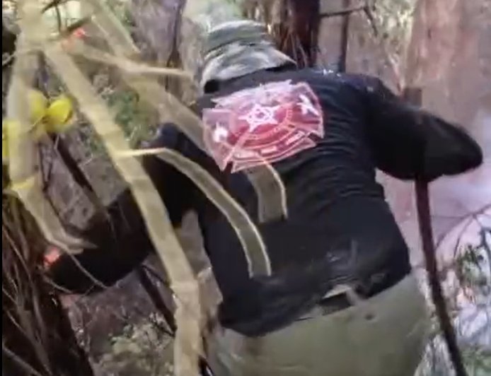 إخماد حريق أعشاب اندلع في منطقة الشويفات، العمروسية، طريق عبد الباقي